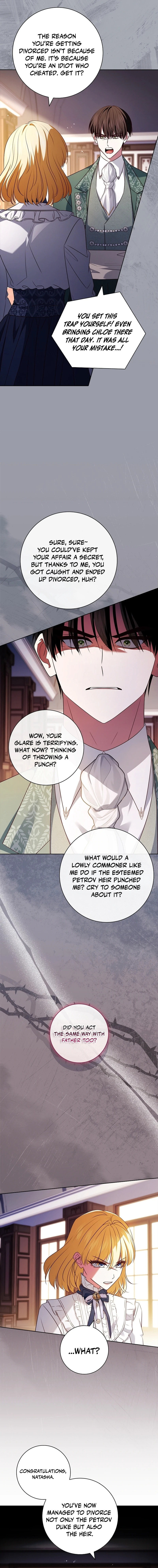 Leave the Divorce to a Professional Lawyer