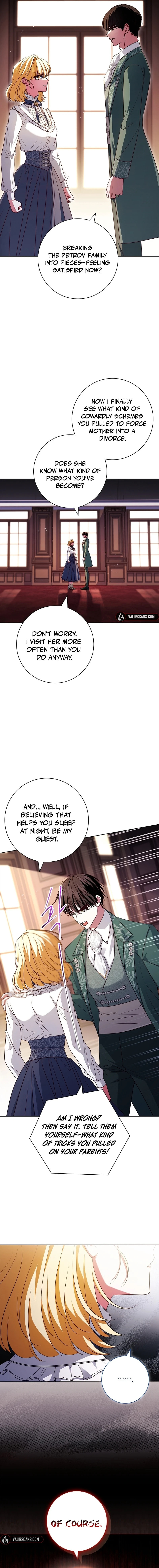 Leave the Divorce to a Professional Lawyer