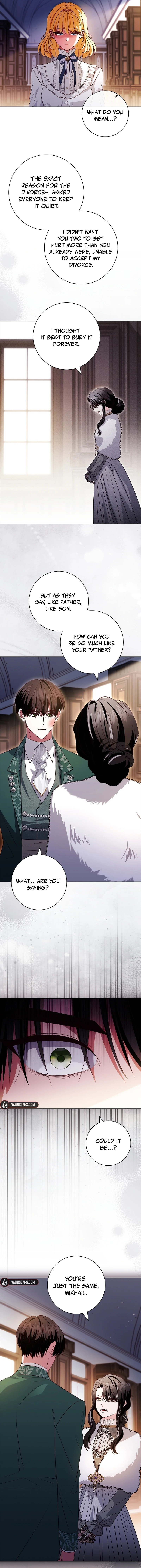 Leave the Divorce to a Professional Lawyer