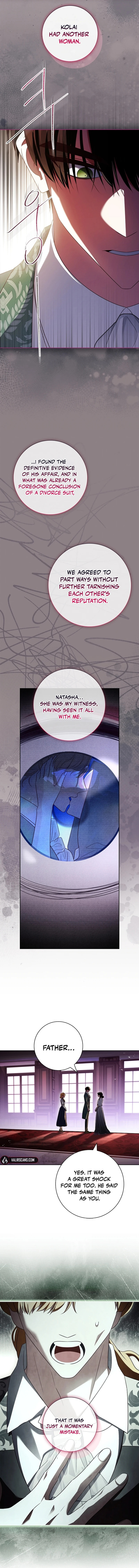 Leave the Divorce to a Professional Lawyer