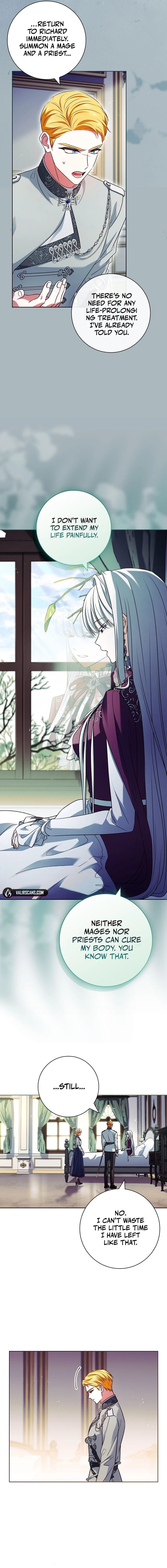 Leave the Divorce to a Professional Lawyer