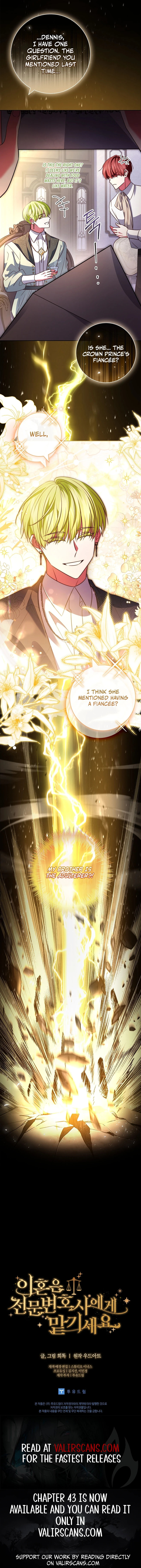 Leave the Divorce to a Professional Lawyer