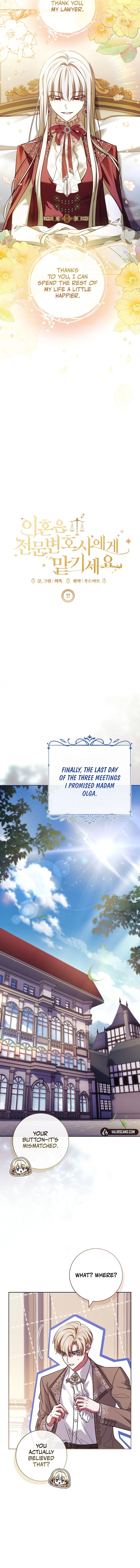 Leave the Divorce to a Professional Lawyer