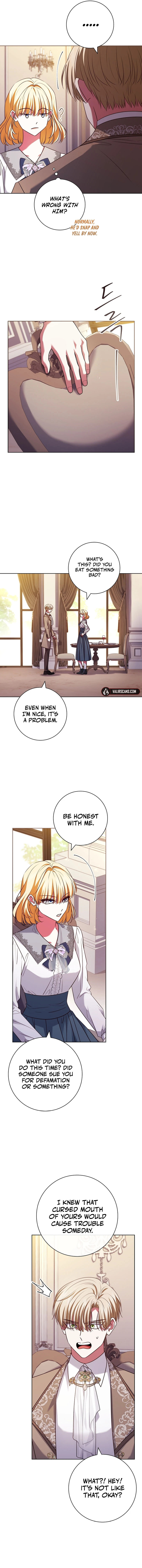 Leave the Divorce to a Professional Lawyer