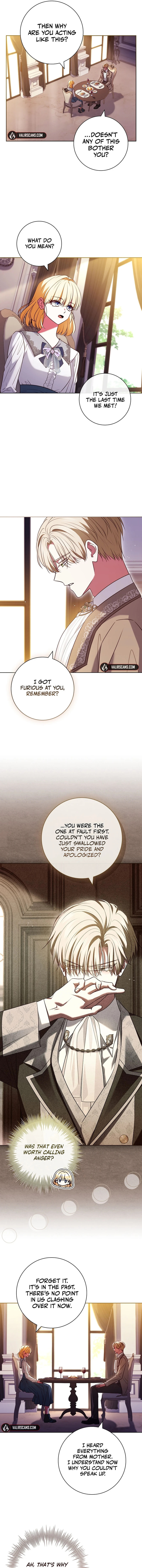 Leave the Divorce to a Professional Lawyer