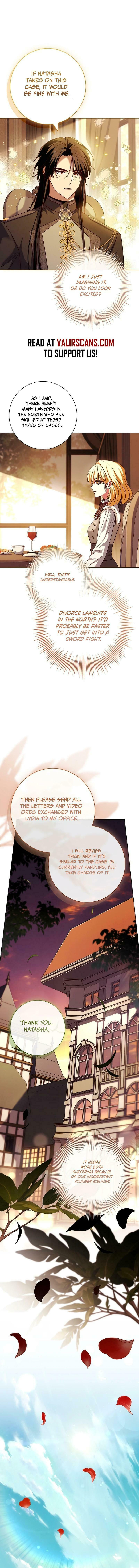 Leave the Divorce to a Professional Lawyer