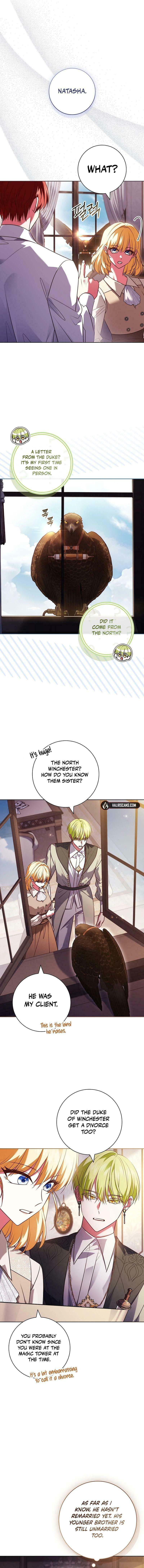 Leave the Divorce to a Professional Lawyer