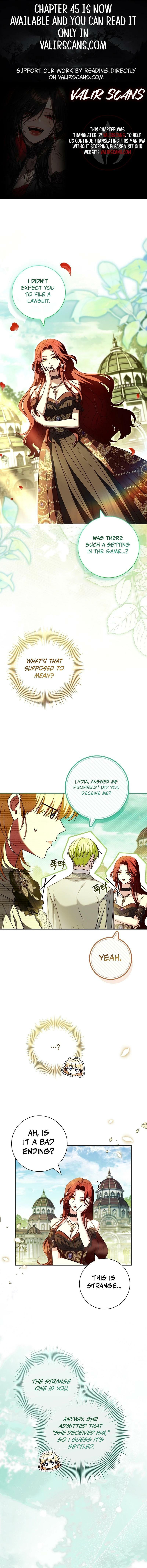 Leave the Divorce to a Professional Lawyer