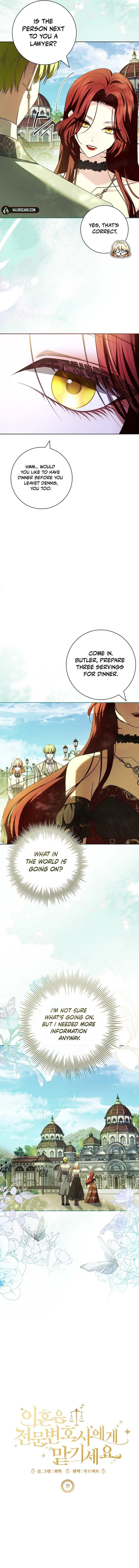 Leave the Divorce to a Professional Lawyer