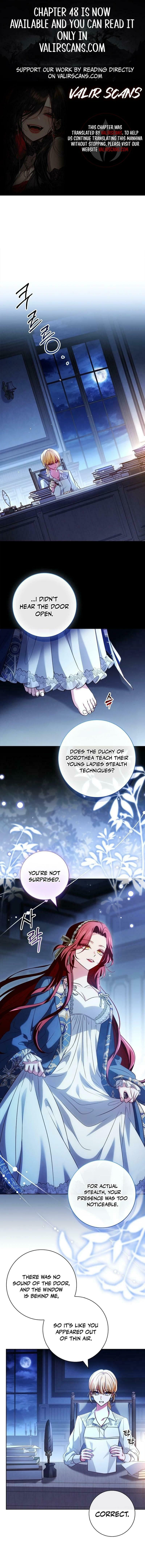 Leave the Divorce to a Professional Lawyer