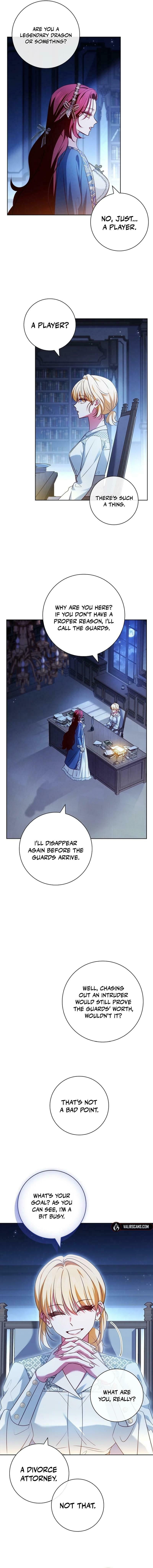 Leave the Divorce to a Professional Lawyer