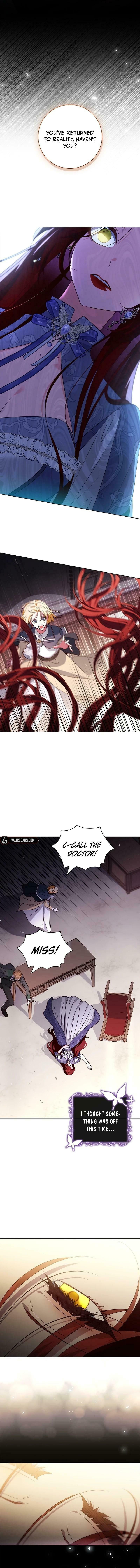 Leave the Divorce to a Professional Lawyer