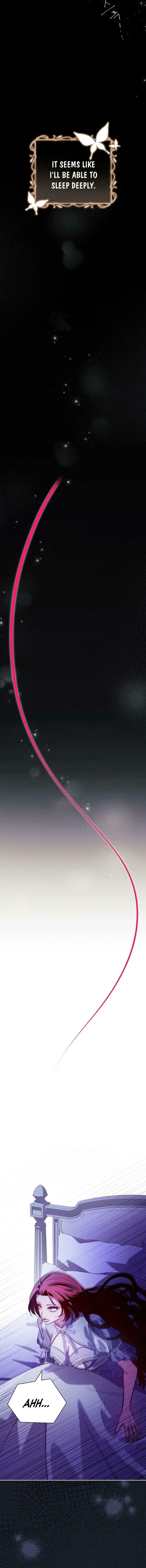 Leave the Divorce to a Professional Lawyer