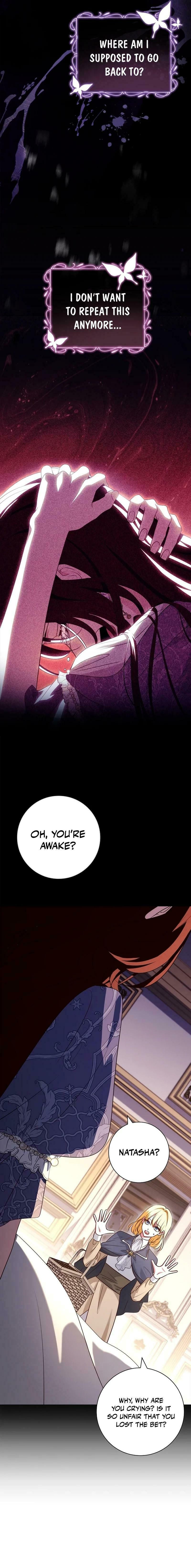 Leave the Divorce to a Professional Lawyer