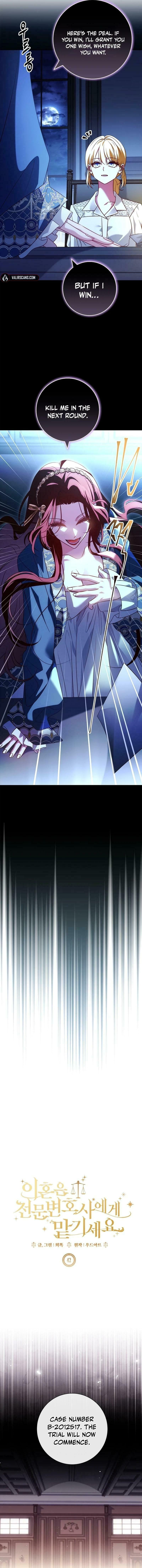 Leave the Divorce to a Professional Lawyer