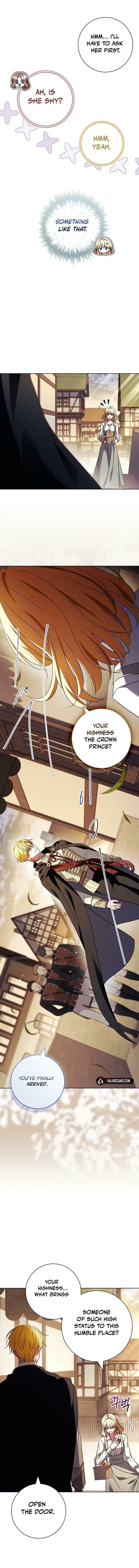 Leave the Divorce to a Professional Lawyer