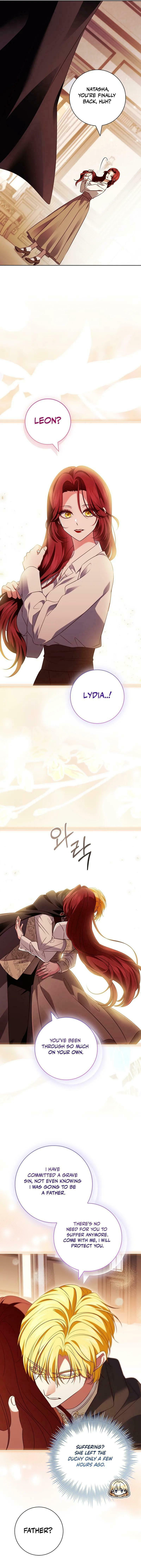 Leave the Divorce to a Professional Lawyer