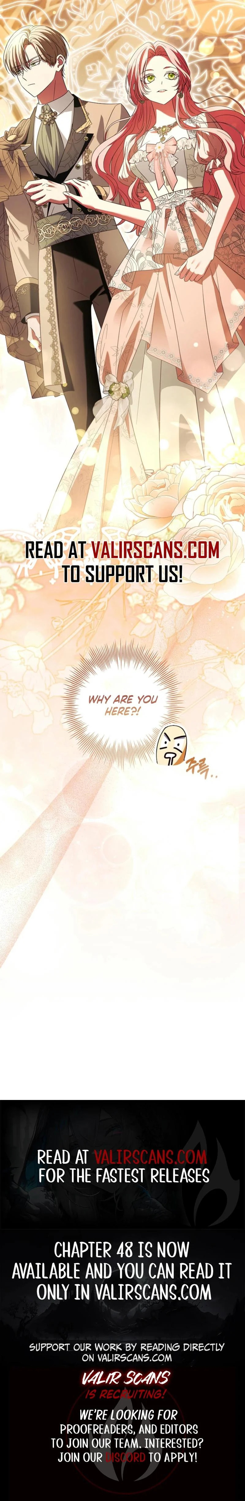 Leave the Divorce to a Professional Lawyer