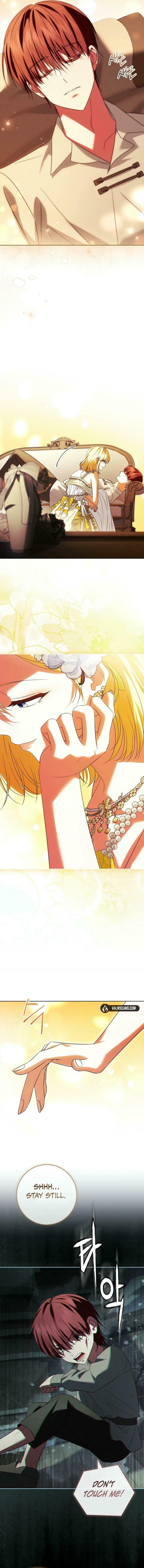 Leave the Divorce to a Professional Lawyer