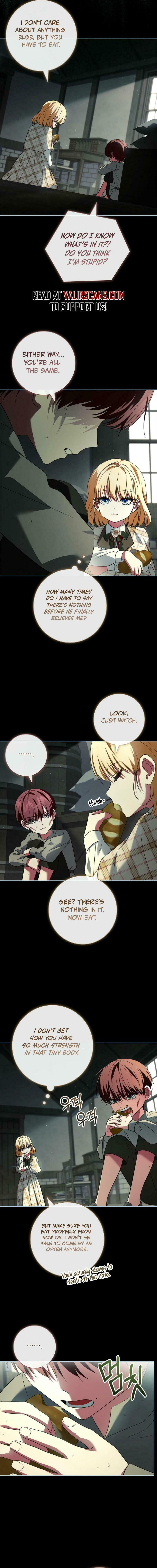 Leave the Divorce to a Professional Lawyer