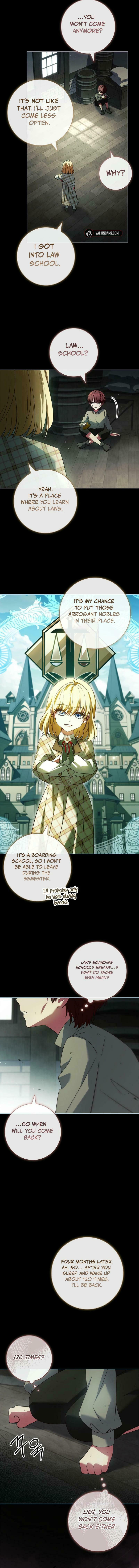 Leave the Divorce to a Professional Lawyer