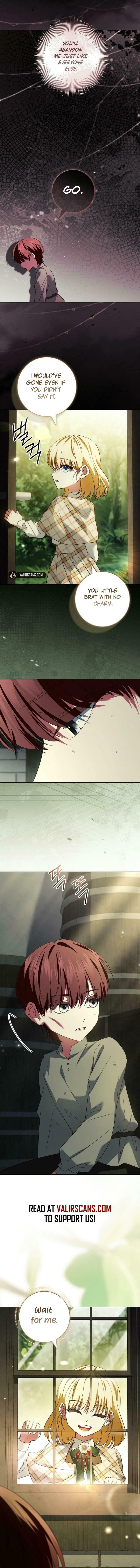 Leave the Divorce to a Professional Lawyer