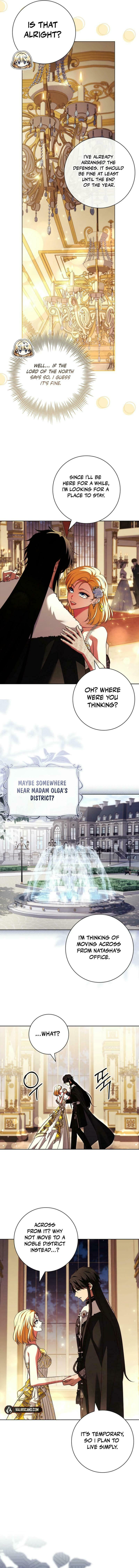 Leave the Divorce to a Professional Lawyer