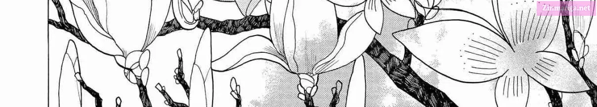 Koi Seyo Kimono Otome