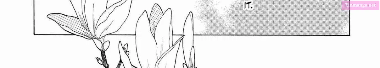 Koi Seyo Kimono Otome