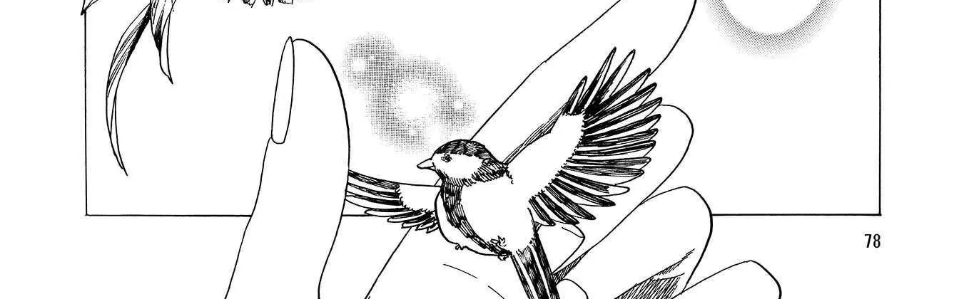 Koi Seyo Kimono Otome