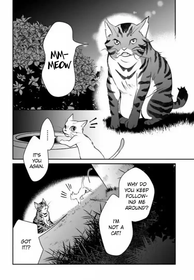 A Whisker Away — Chapter 2 — Page 38