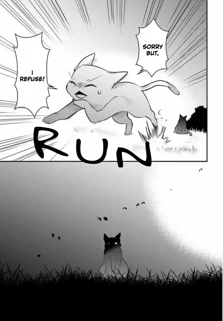 A Whisker Away — Chapter 2 — Page 41