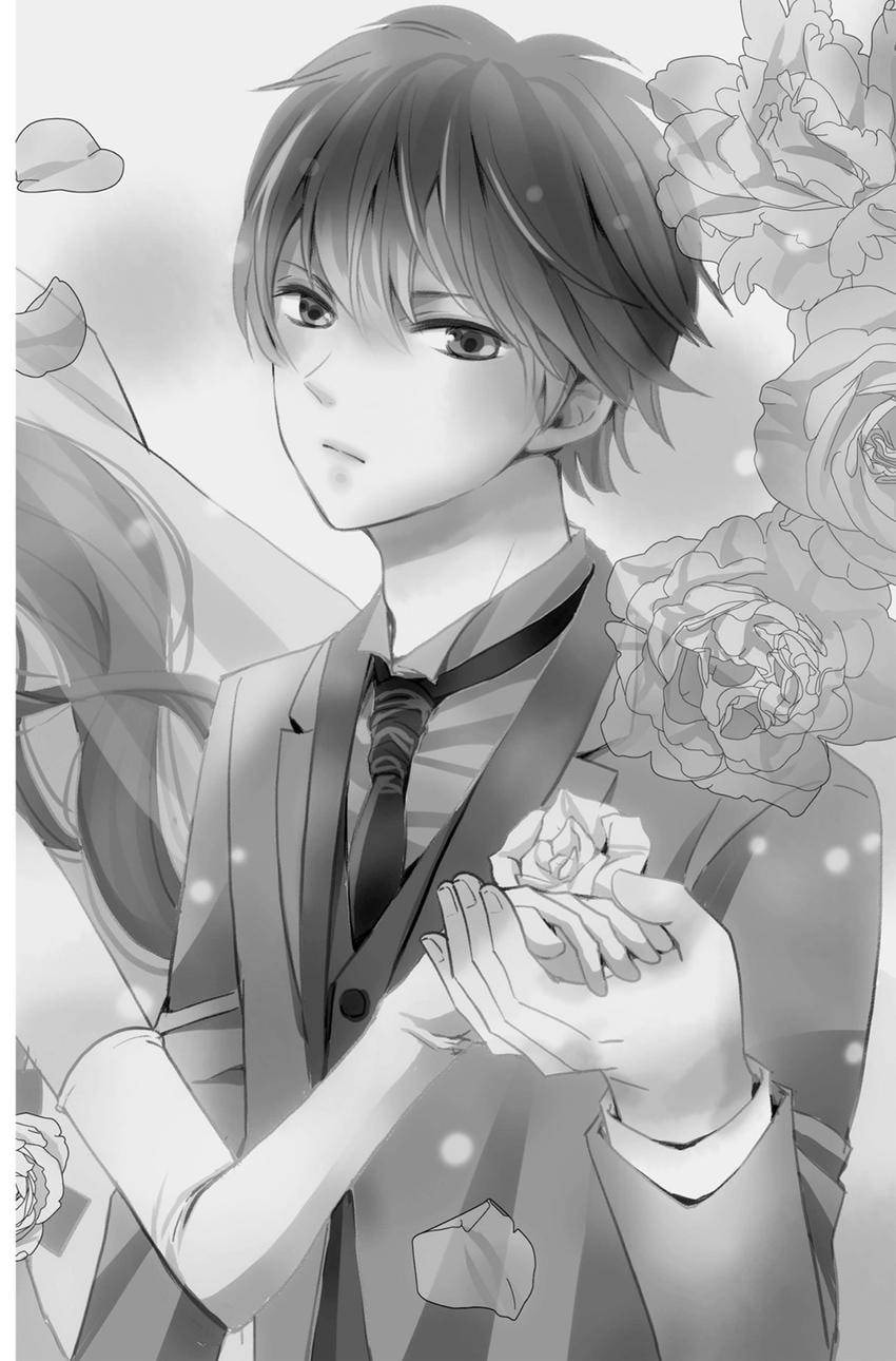 The Lion and the Bride