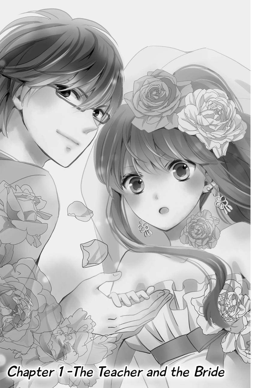 The Lion and the Bride