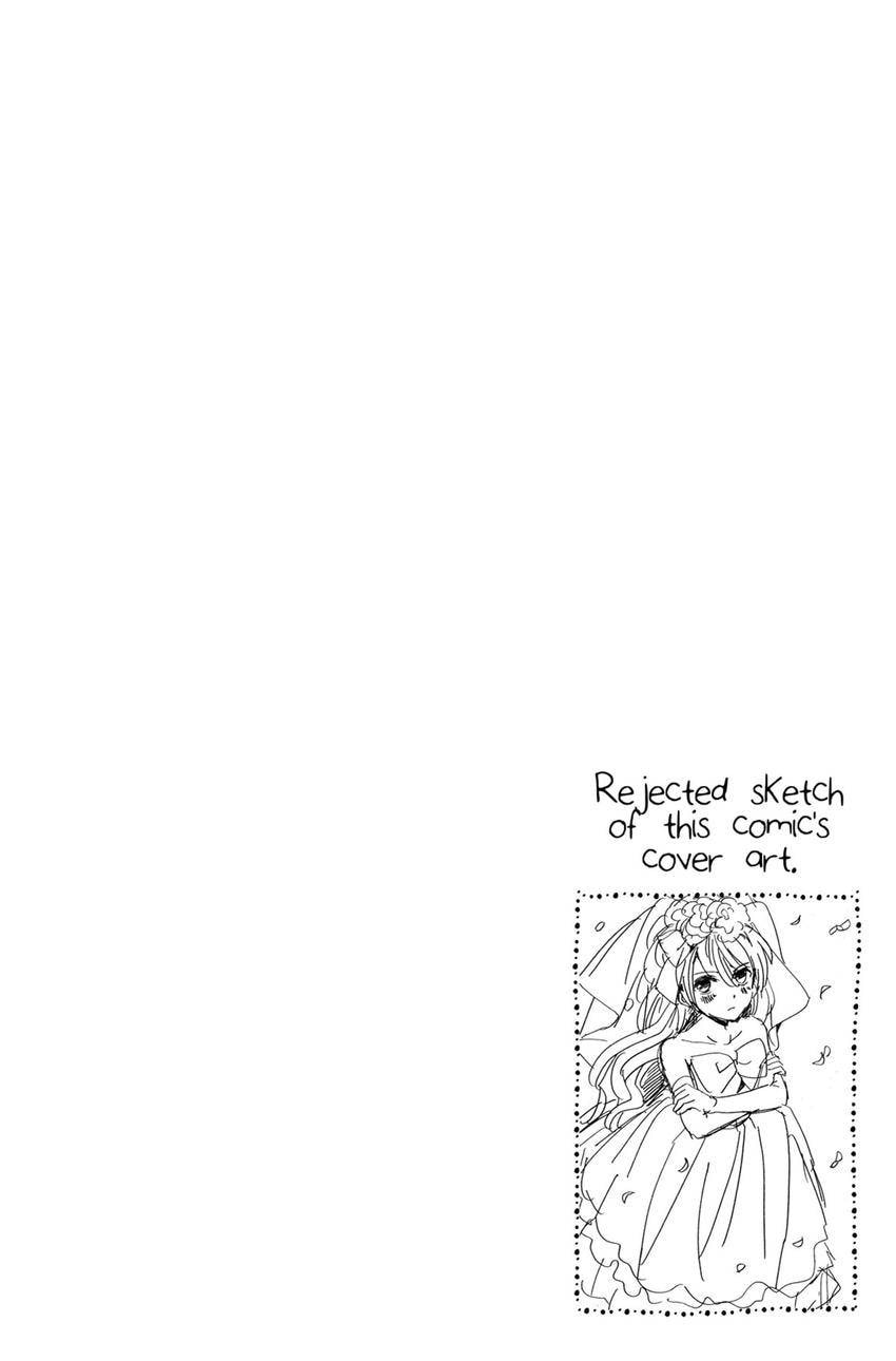 The Lion and the Bride