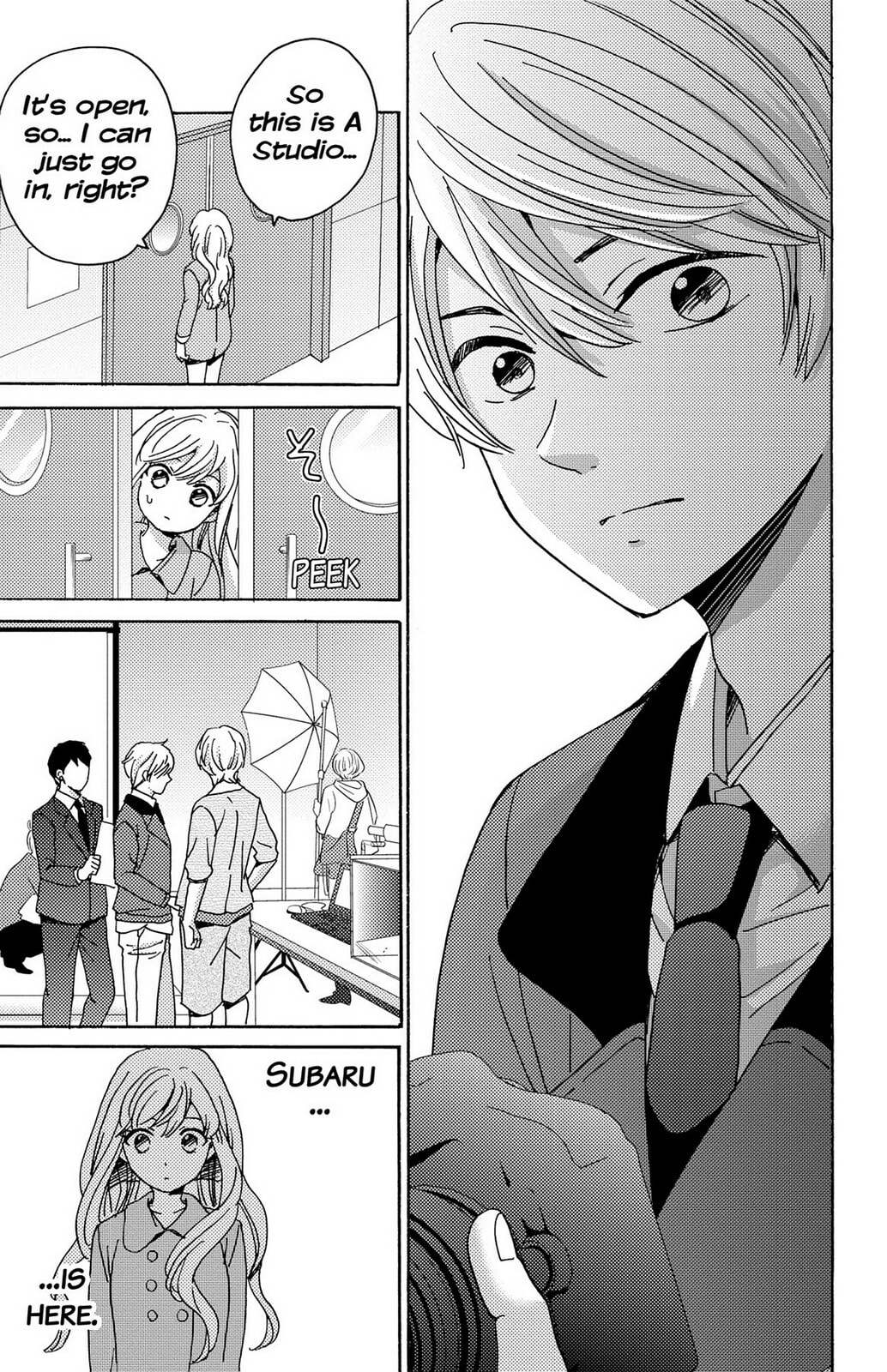 The Lion and the Bride