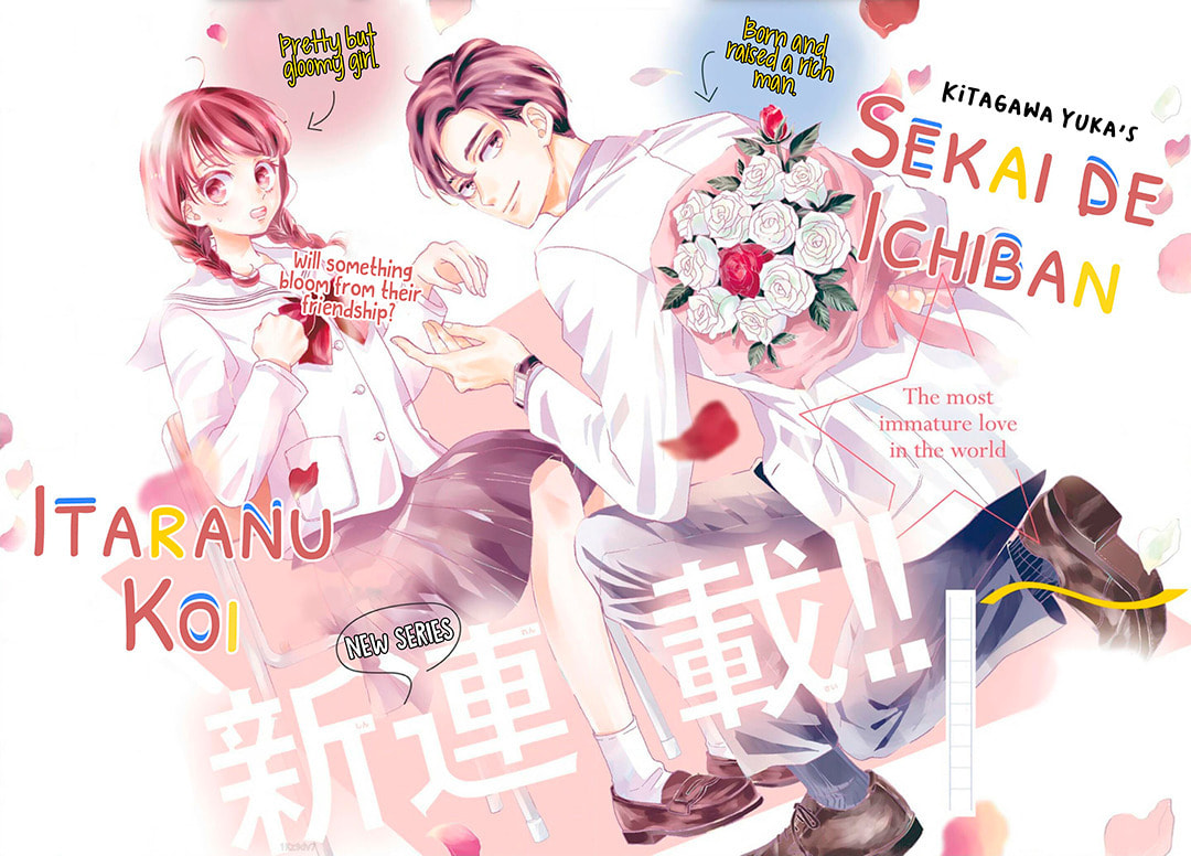 The Most Immature Love in the World