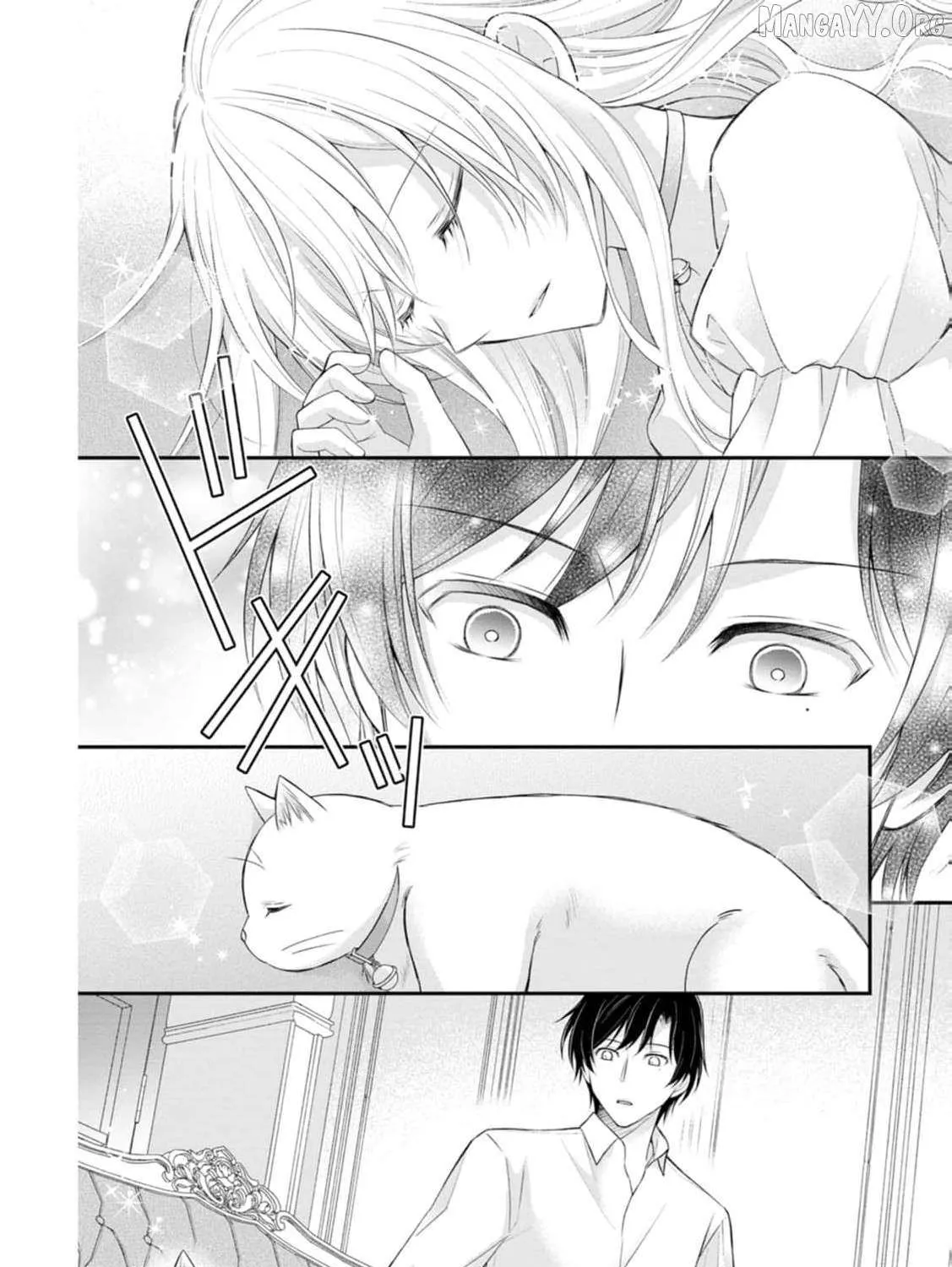 The Villainess Cursed into a Cat is Taken in by the Crown Prince