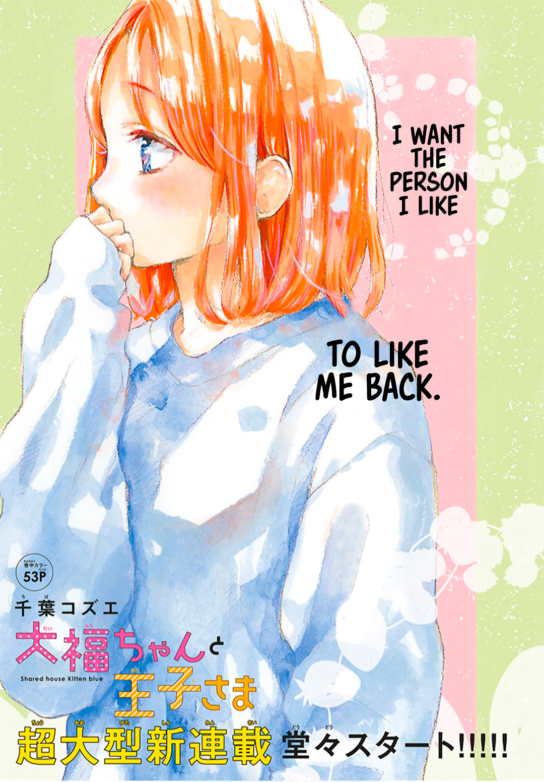 Shared House Kitten Blue