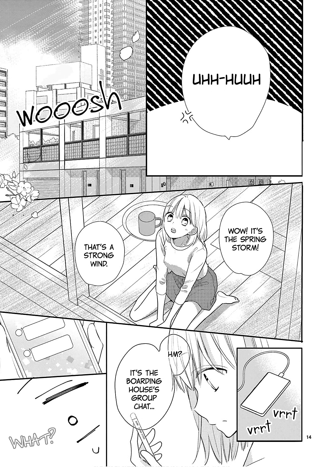 Shared House Kitten Blue