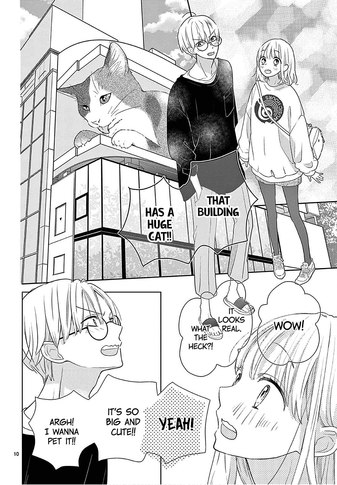 Shared House Kitten Blue