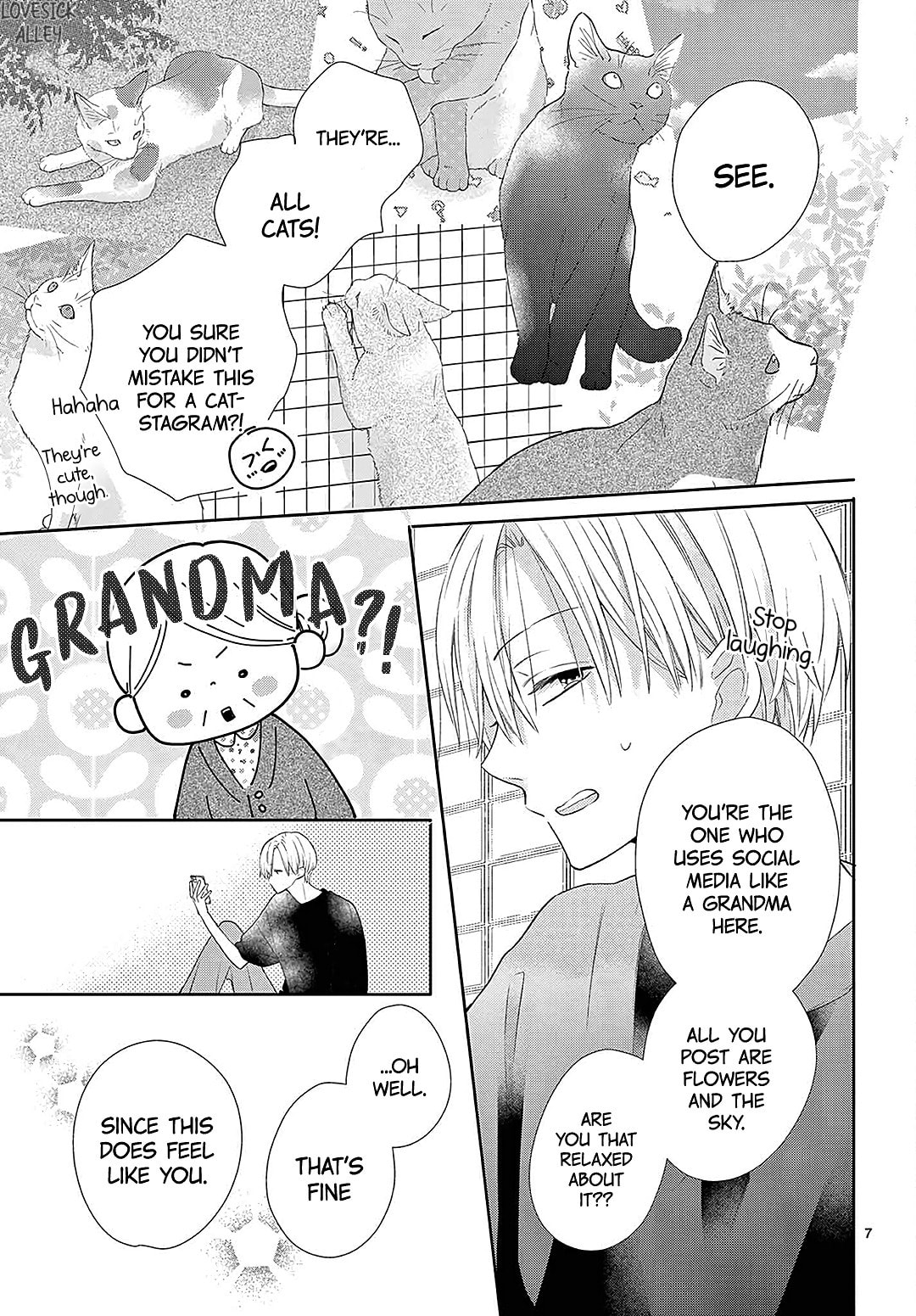 Shared House Kitten Blue