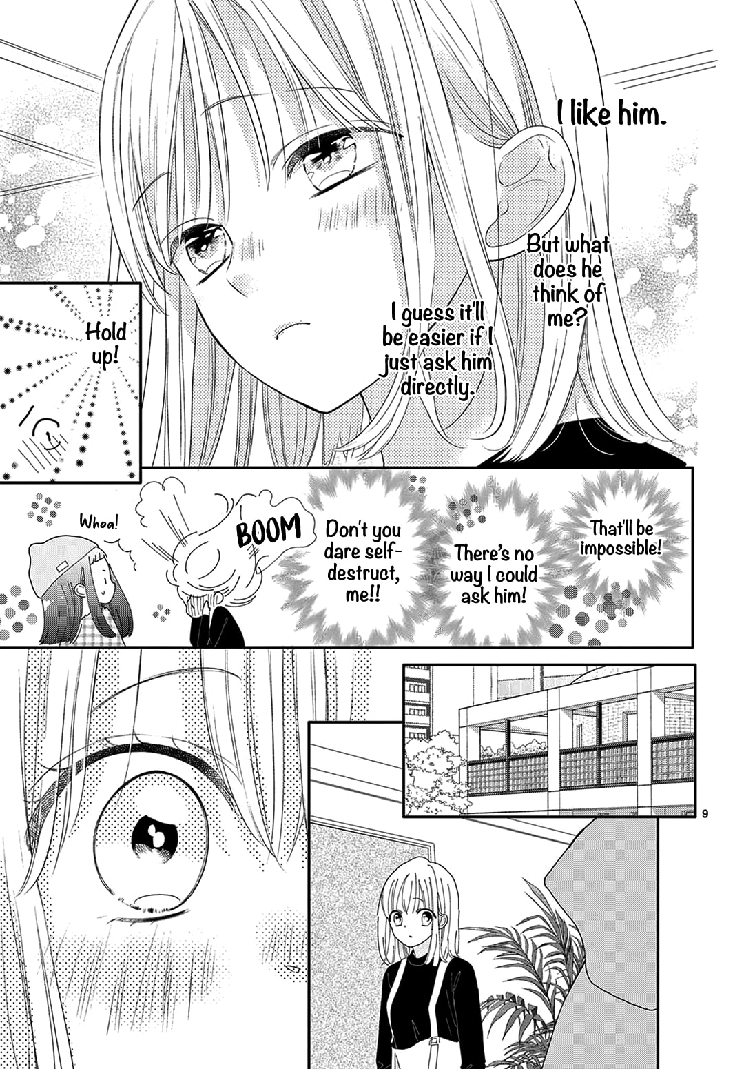 Shared House Kitten Blue