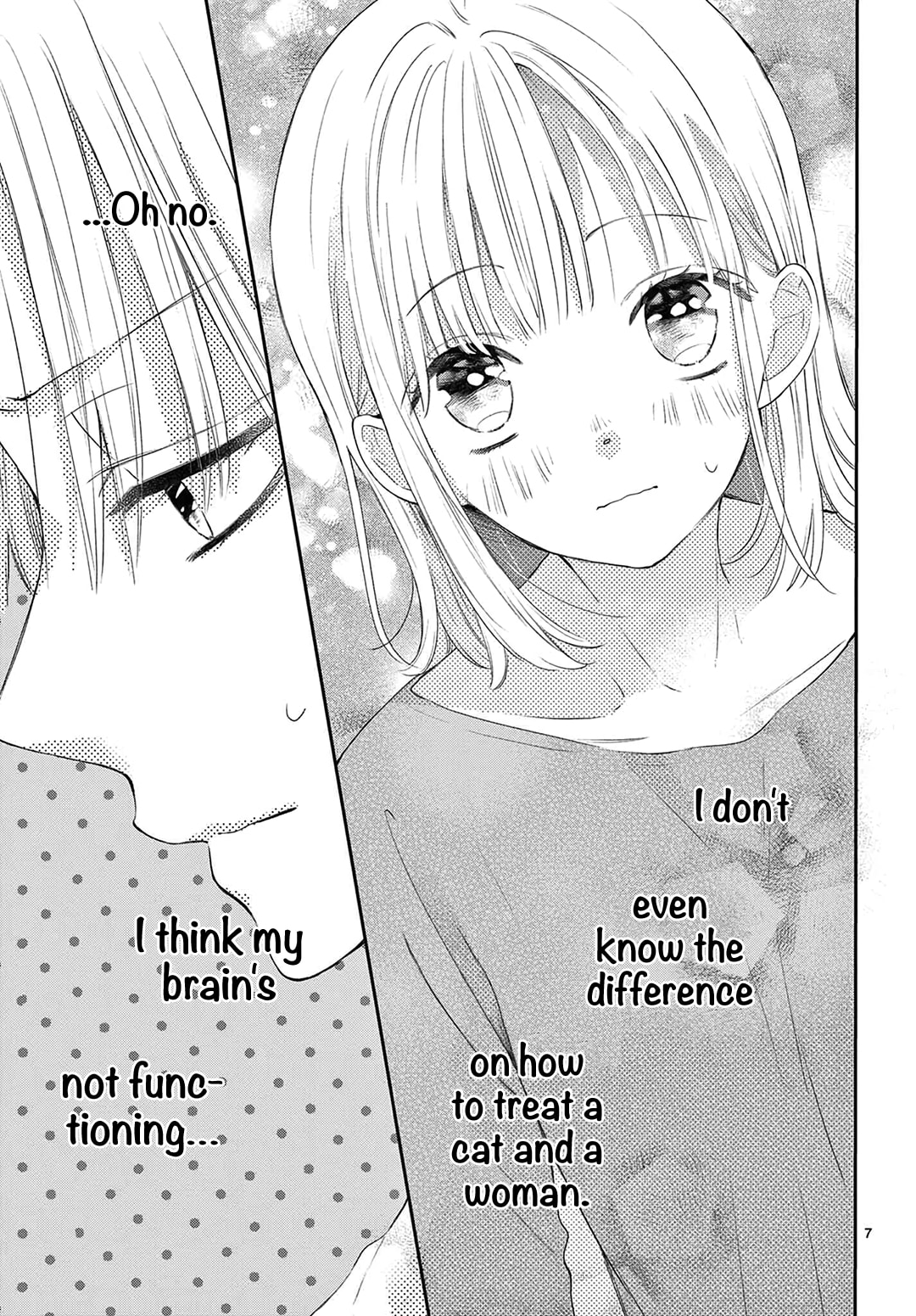 Shared House Kitten Blue