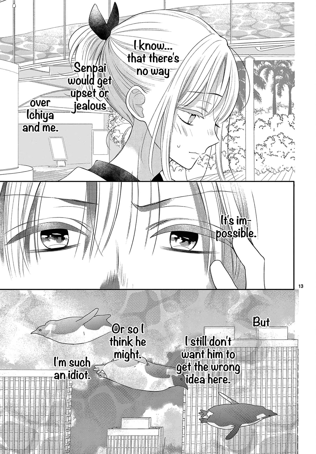 Shared House Kitten Blue