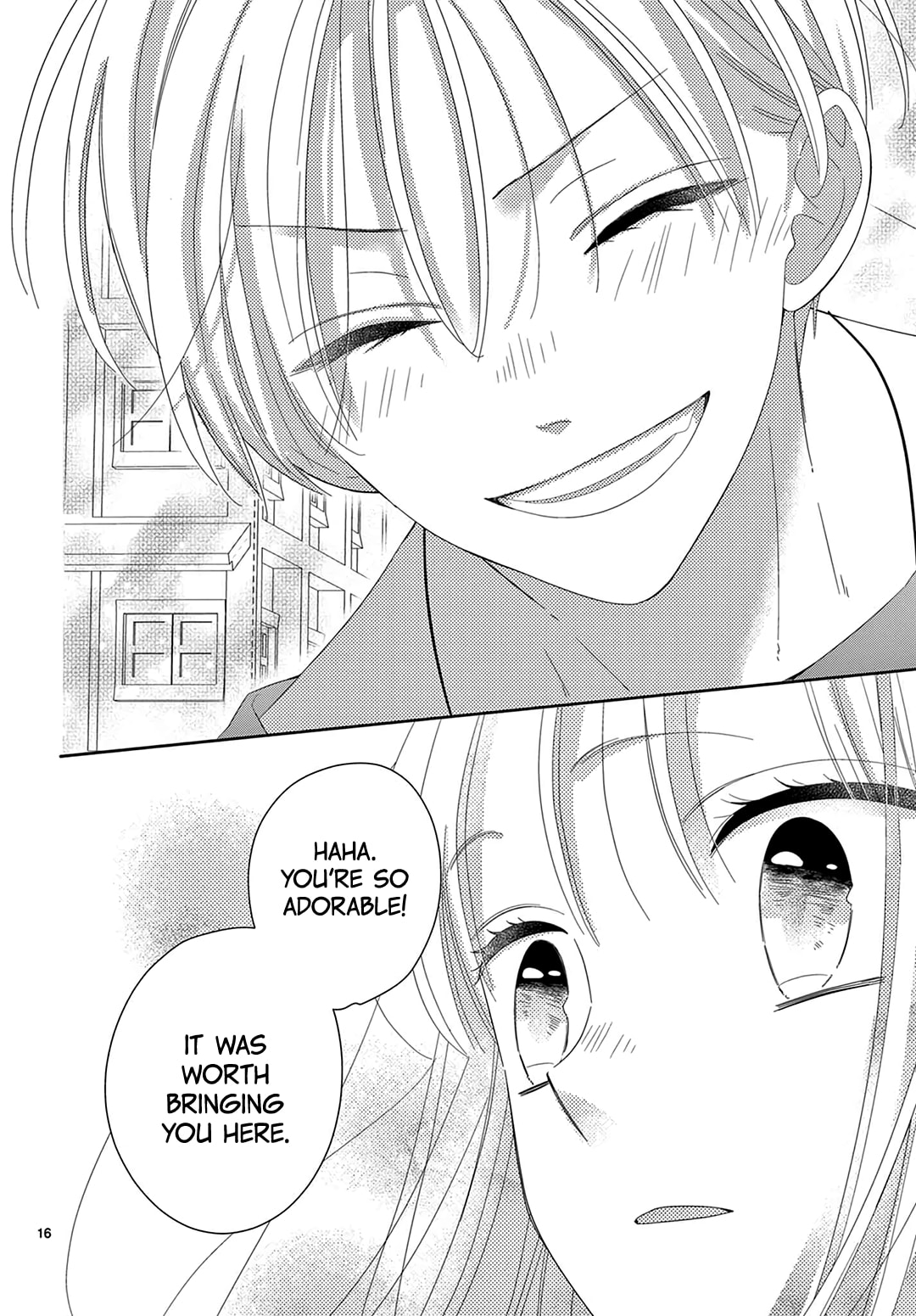 Shared House Kitten Blue