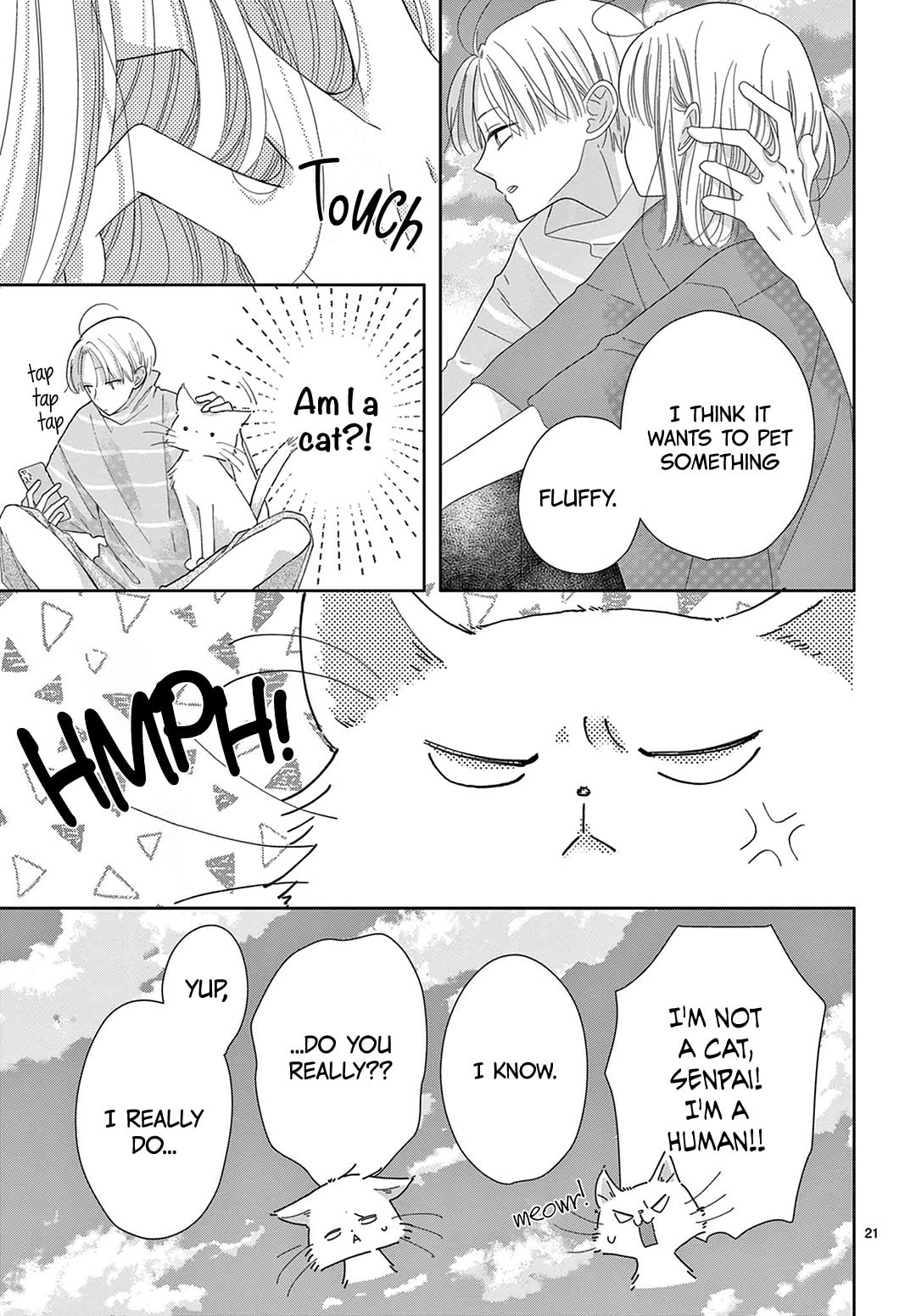 Shared House Kitten Blue