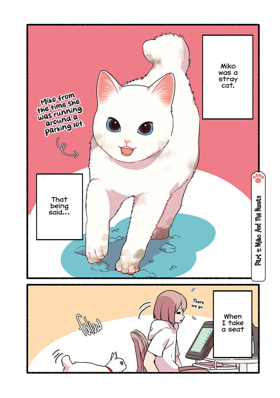 Miko, A White Cat That Wants To Be Loved