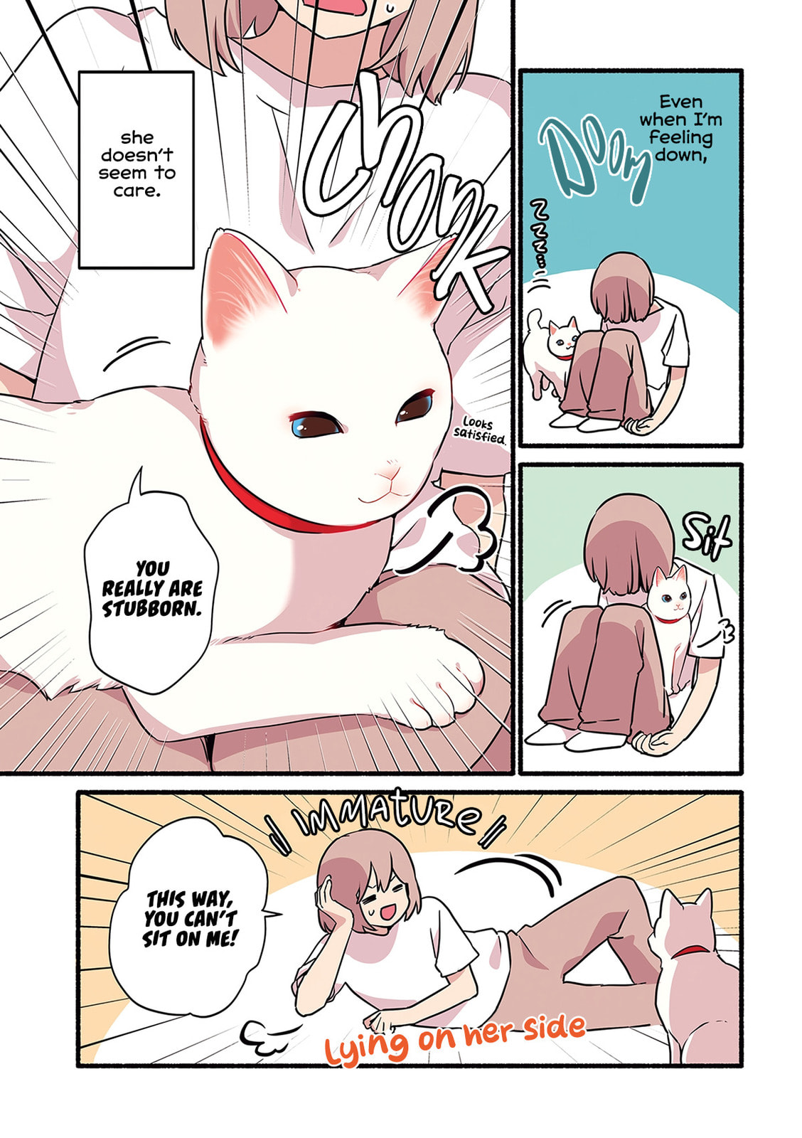 Miko, A White Cat That Wants To Be Loved