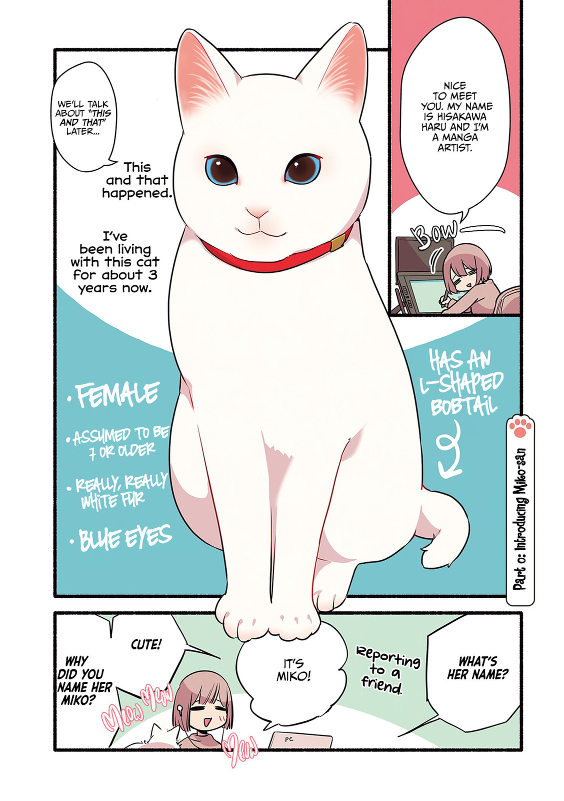 Miko, A White Cat That Wants To Be Loved
